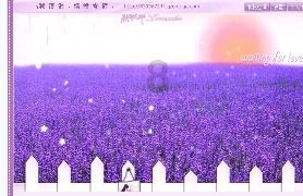 以诚待客凝聚营商强磁场